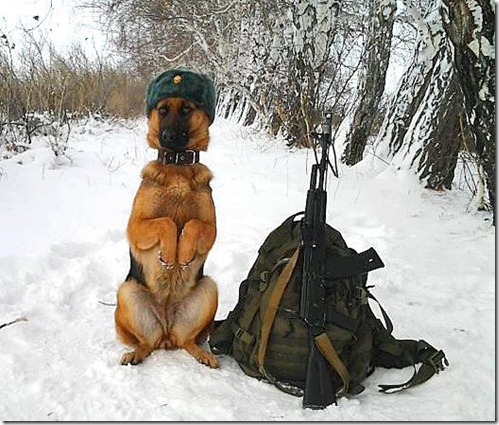 75572_10151122294611362_2134943505_n