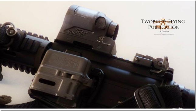Trijicon SRS Blog Photo
