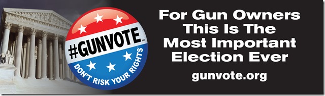 GunvoteBillboard_2_Weeks