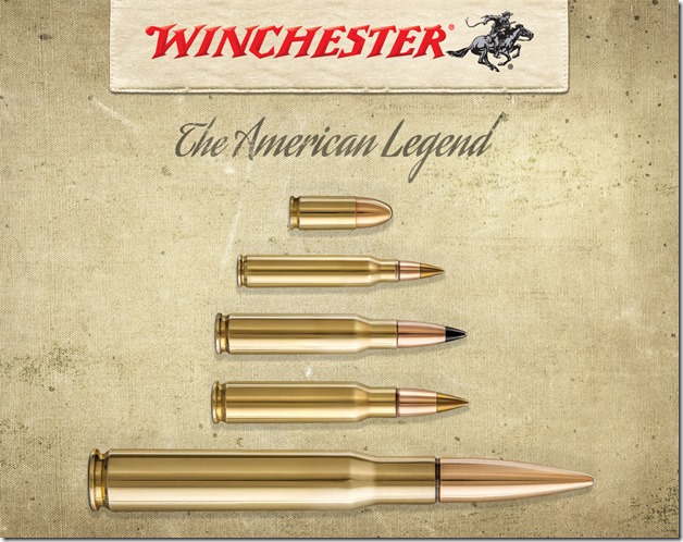 cb273859-0398-4dea-9121-131e182087f9