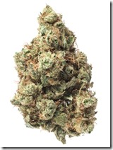 1550018625-171117_52200_MauiWowie_1