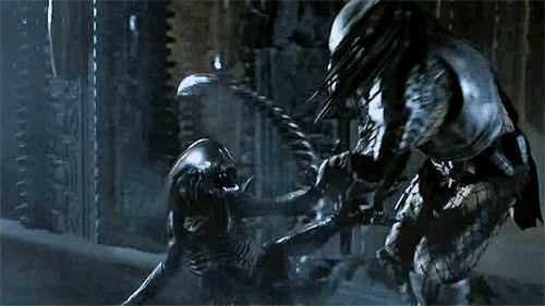grid-vs-celtic-avp-aliens-vs-predator