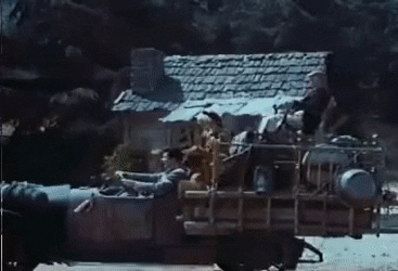 CrazyFamousJuliabutterfly-small