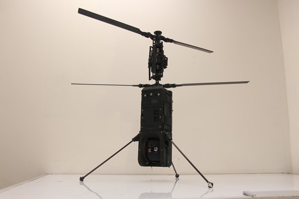 RAFAEL'S _SPIKE FIREFLY