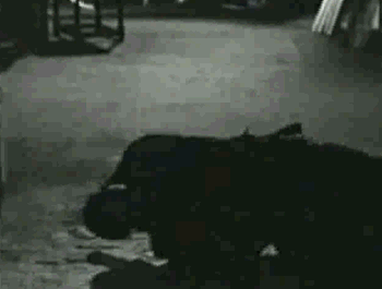 tumblr_m9q98jPeiT1qf9djko1_400[3]