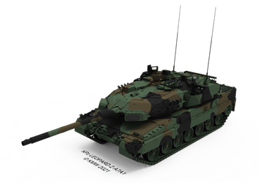 Trophy on Leopard_small