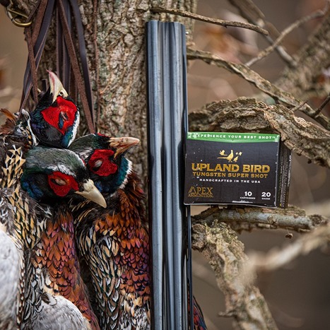 APEX Ammunition Upland Bird Lifestyle shot (002)