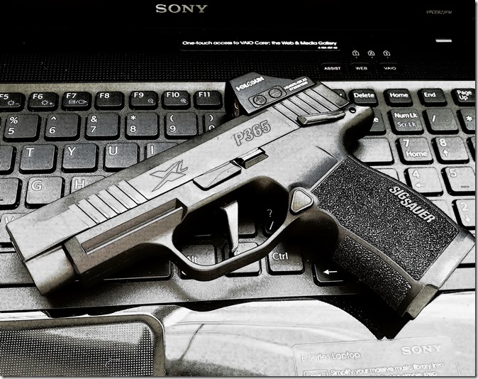Sneak Preview: SIG SAUER’S P365 XL External Safety Variant | FOG HORN
