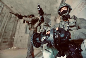 Chameleon-lr(2) (002)