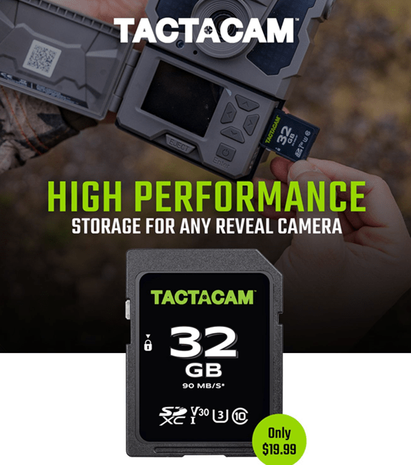 Screenshot 2024-03-23 172131