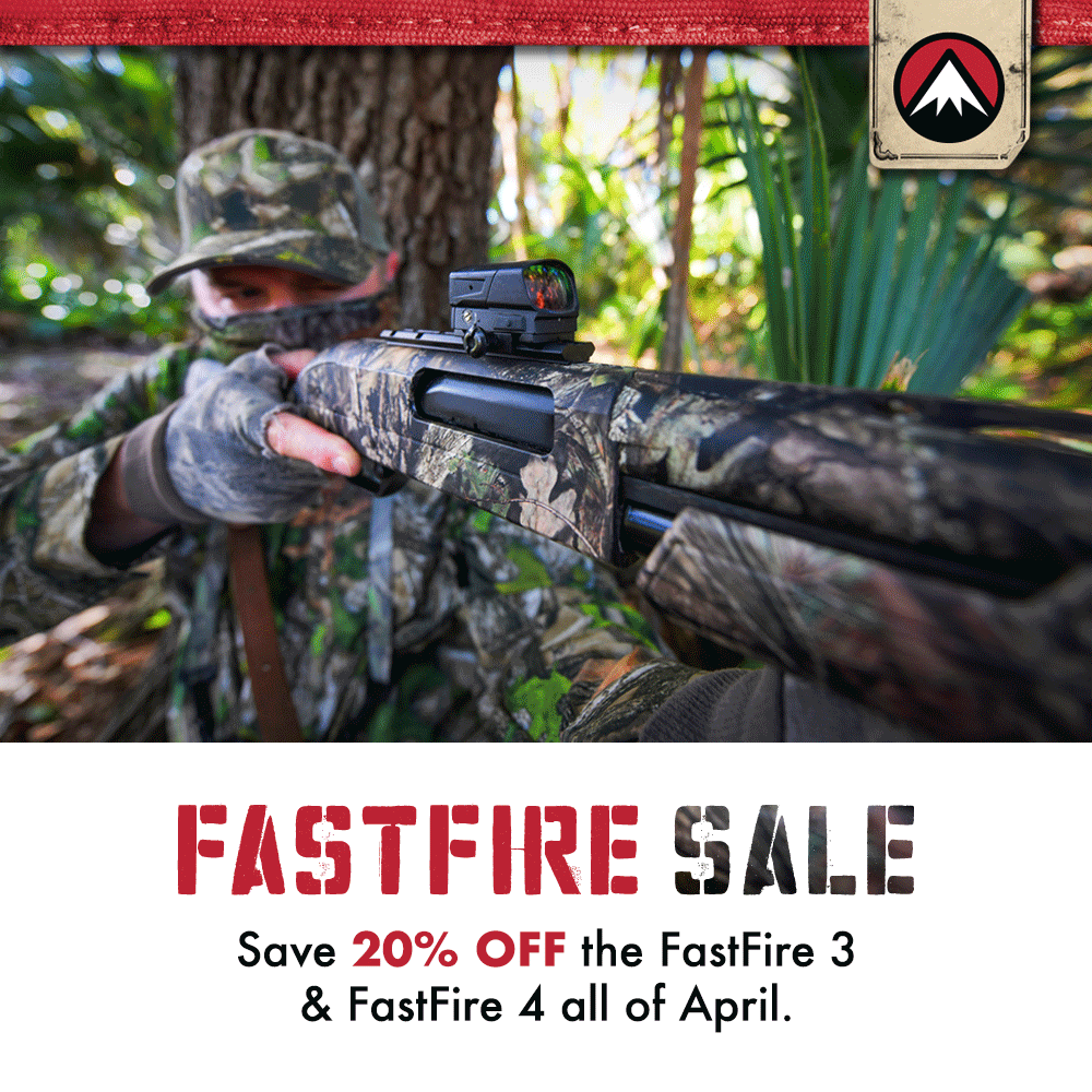 clip_image001 clip_image001