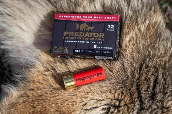 APEX Predator TSS - Lifestyle - 1